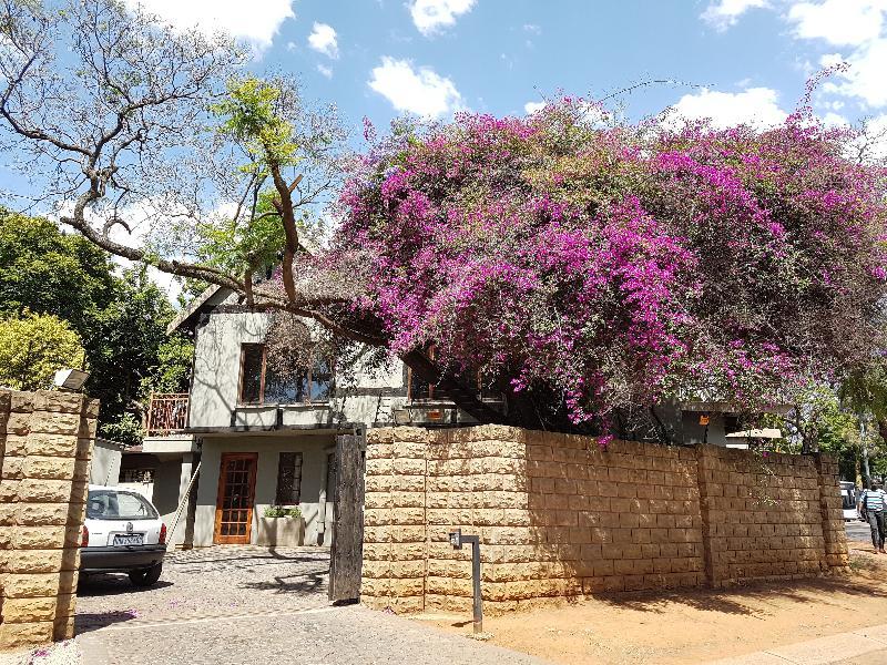 Hotel 440@Brooklyn Pretoria-Noord Esterno foto